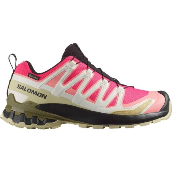 Salomon XA Pro 3D V9 GTX Vandresko Dame
