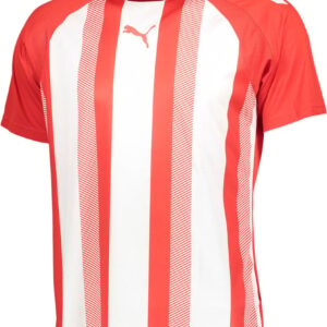 Teamliga Striped Tshirt