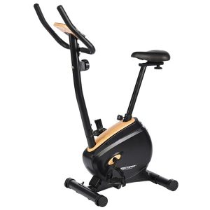 Topsport Top Sport Delta Motionscykel