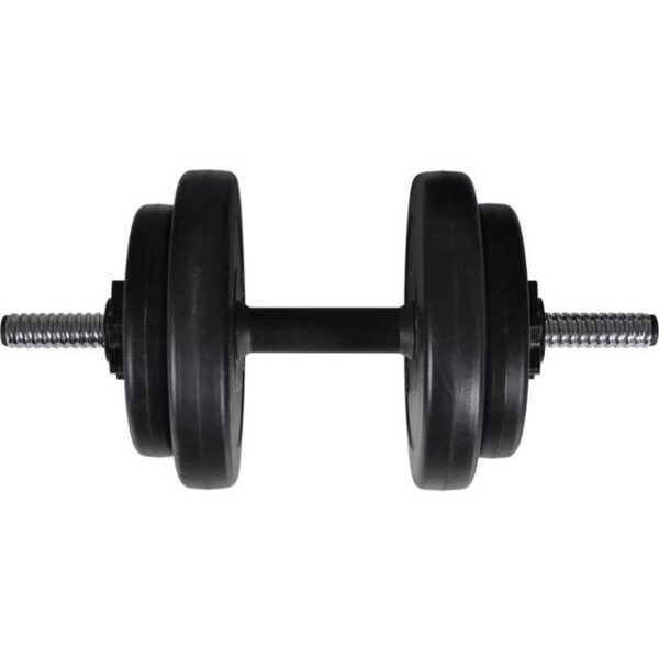 vidaXL Håndvægte 60.5kg