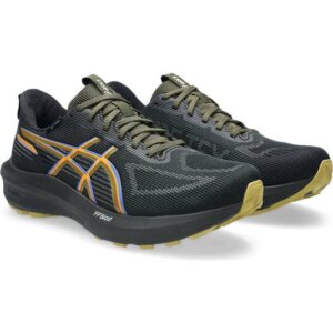 Asics GT-1000 14 GTX - 46