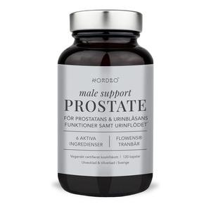 NORDBO Male Support Prostate - 120 kaps.