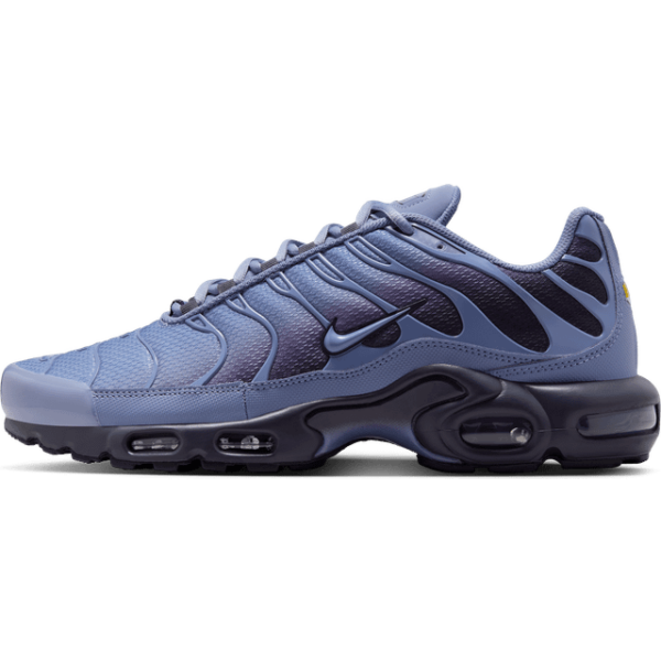 Nike Air Max Plus Sko Til Mænd - Blå