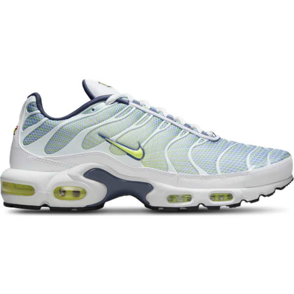 Nike Air Max Plus Sko Til Mænd - Grå