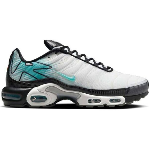 Nike Air Max Plus Sko Til Mænd - Hvid