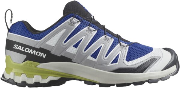 Salomon XA Pro 3D V9 Vandresko, Herre