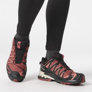 Salomon XA Pro 3D v9 GTX Kvinder / Damer, c.hide/blk/f.rose-36 2/3 / UK 4 - Vandresko