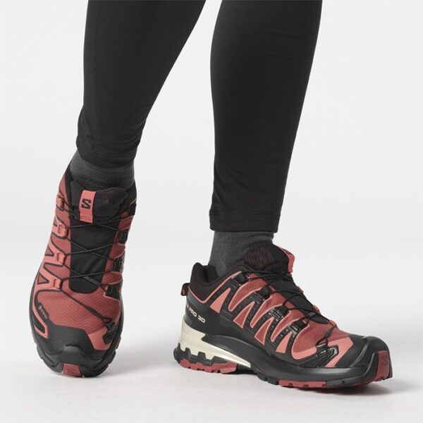 Salomon XA Pro 3D v9 GTX Kvinder / Damer, c.hide/blk/f.rose-36 2/3 / UK 4 - Vandresko
