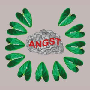 Angstfri med kosttilskud - E-bog