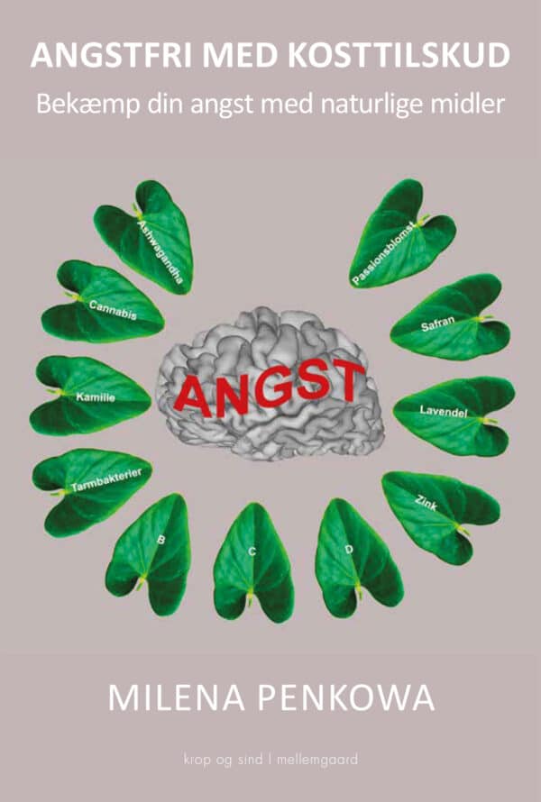 Angstfri med kosttilskud - E-bog
