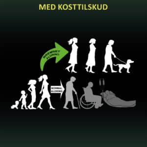 BREMS DIN ALDRING MED KOSTTILSKUD - E-bog