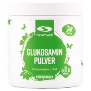 Glucosamin Pulver, 500 g