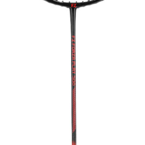 Play 500 Badmintonketcher