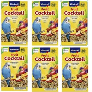 Vitakraft 6 x Fruit Cocktail for budgies