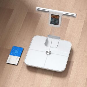 WorkWalk Kropsscanner