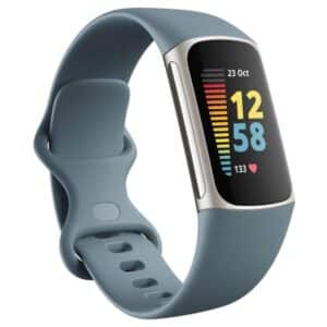 Fitbit Charge 5 Steel Blue/Platinum