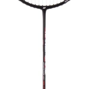 Nanoflare 001 Ability Badmintonketcher