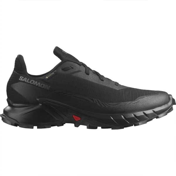 Salomon Alphacross 5 GTX Herre / Mænd, black/ebony-44 / UK 9,5 - Vandresko