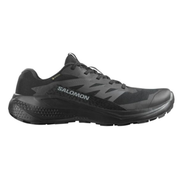 Salomon Alphaglide GTX Herre / Mænd, black-40 / UK 6,5 - Vandresko