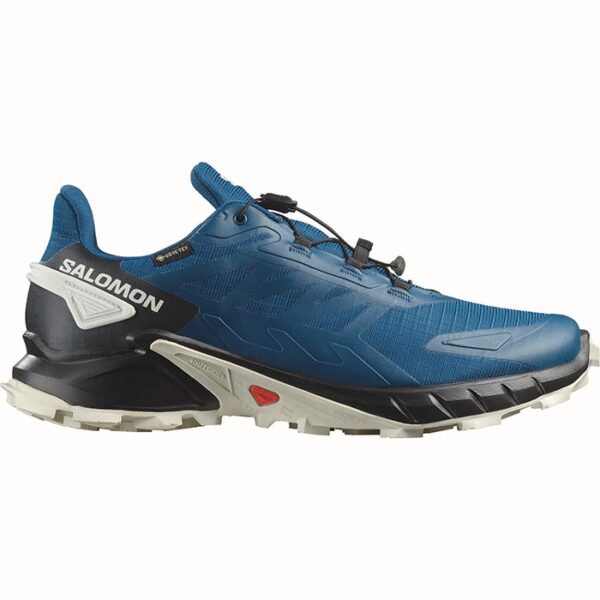 Salomon Supercross 4 GTX Herre / Mænd, poseidon-41 1/3 / UK 7,5 - Vandresko