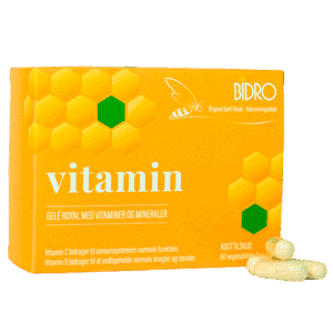 Bidro Vitamin Vegansk (60 kaps)