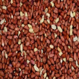 Hobby First Afskallede jordnødder 25 kg