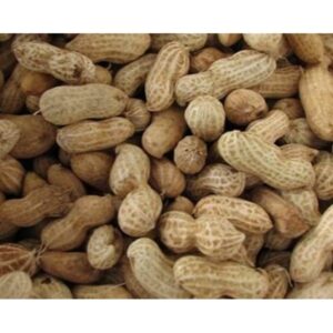 Hobby First Jordnødder m. skal, 10 kg