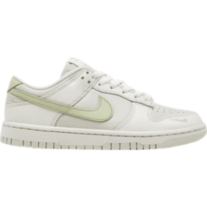 Nike Dunk Low Sko Til Kvinder - Grå