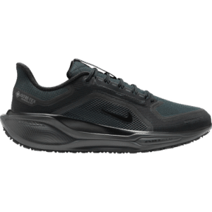 Nike Pegasus 41 Gore-Tex M - Black/Anthracite