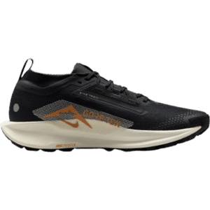 Nike Pegasus Trail 5 GTX M - Off Noir/Black/Monarch/Pale Ivory