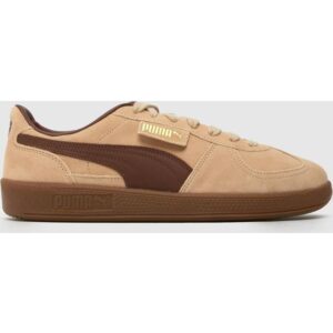 Puma Palermo Women's Sneakers - Brown