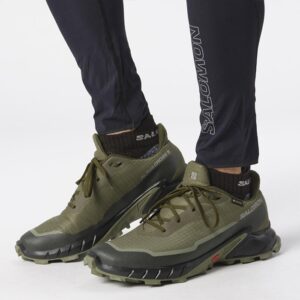 Salomon Alphacross 5 GTX Herre / Mænd, olive night/d.lichen-42 / UK 8 - Vandresko