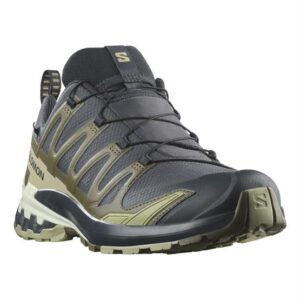 Salomon XA Pro 3D V9 GTX Mens, India Ink / Olive Night