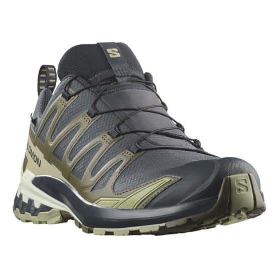 Salomon XA Pro 3D V9 GTX Mens, India Ink / Olive Night
