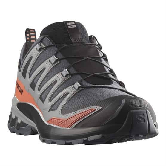 Salomon XA Pro 3D V9 GTX Mens, Turbulence / Black