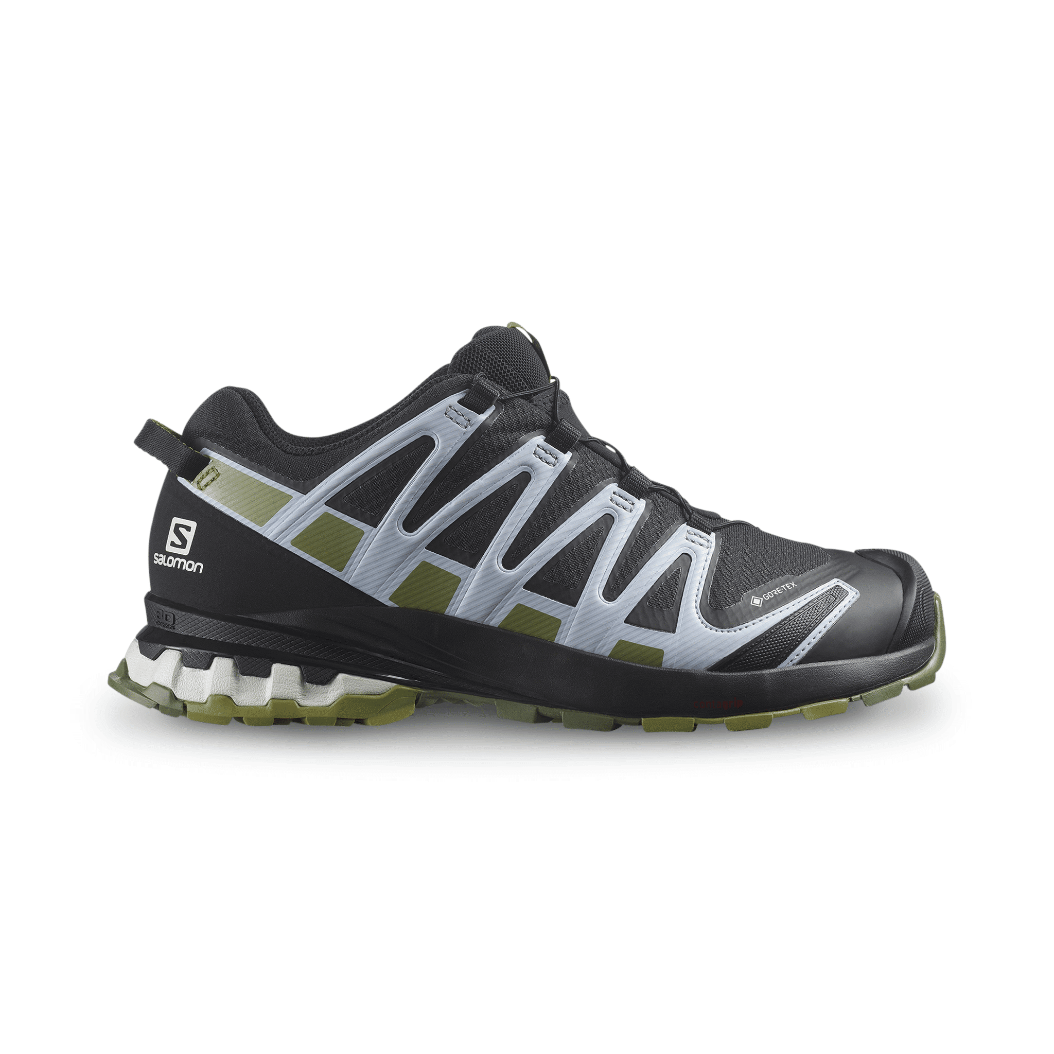 Salomon XA Pro 3D v8 GTX Sko - Dame
