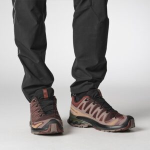 Salomon XA Pro 3D v9 GTX Herre / Mænd, blk coffee/r.raisin-45 1/3 / UK 10,5 - Vandresko