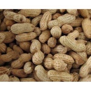 Hobby First Jordnødder m. skal, 10 kg