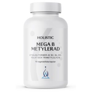 Holistic Mega B, Methyleret, 90 kapsler