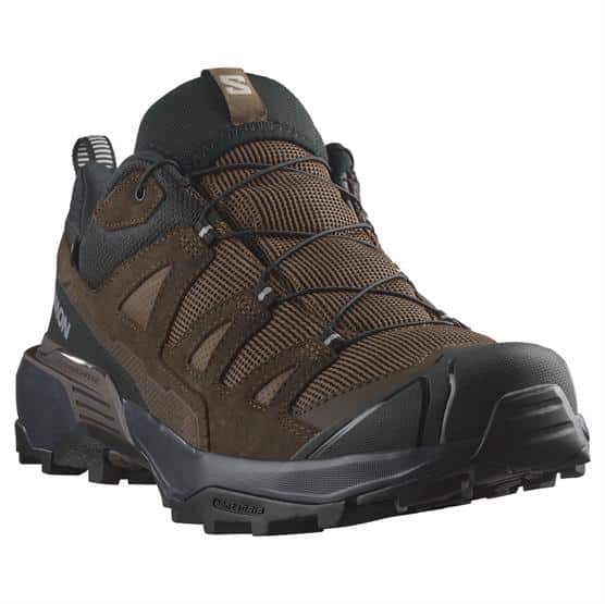 Salomon X Ultra 360 LTR GTX Mens, Dark Earth / Sharkskin