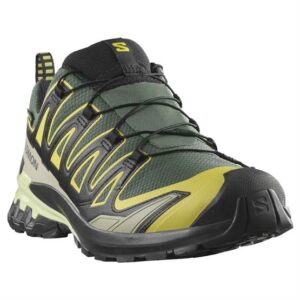Salomon XA Pro 3D V9 GTX Mens, Urban Chic / Black