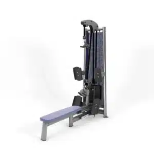 gym80 Sygnum Double Incline Row