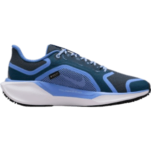 Nike Pegasus 41 GTX W - Cobalt Bliss/Armory Navy/Royal Pulse/Metallic Red Bronze