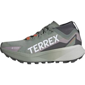 adidas Terrex Agravic GTX Trail Running Shoes - Silver Green/Cloud White